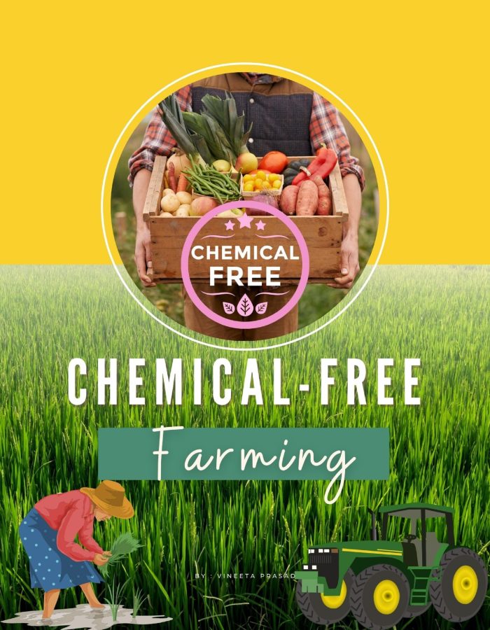 Chemical Free Farming